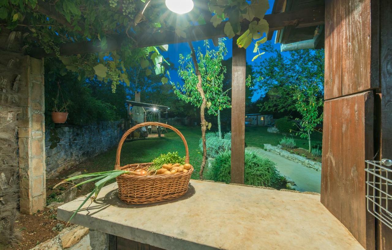 Stancija Roza Villa Svetvinčenat Екстериор снимка